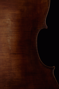 cello-back-detail2